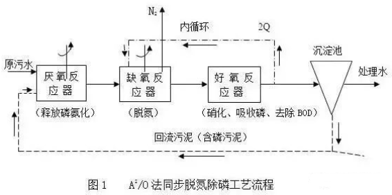 污水总氮去除方式.png
